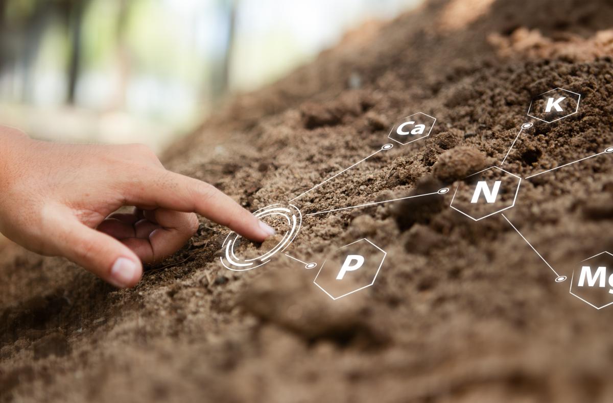 Symbolic image of soil overlaid with nutrient elements 