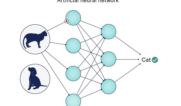 neural network